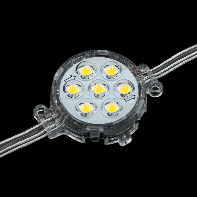 DC24V Diameter 5cm 5050SMD Single color Pixel Module Outdoor Waterproof IP67 Point Light Led Pixel Light